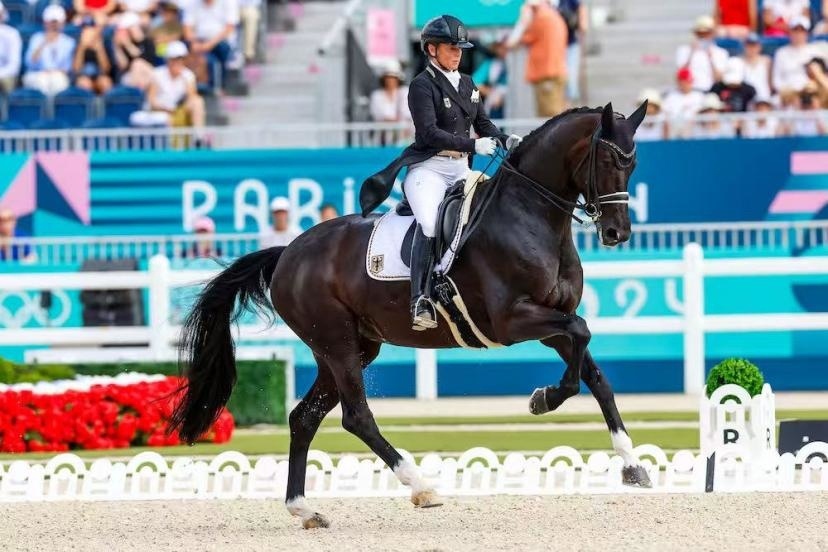 为观众揭开, Cl 为观众揭开, Cl